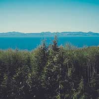 网页DDOS攻击平台