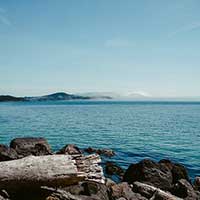 快速响应处理的ddos攻击