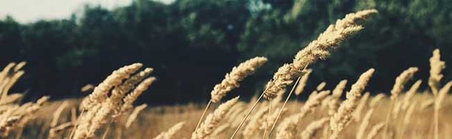 ddos压力在线测试平台