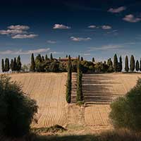 Web漏洞扫描工具