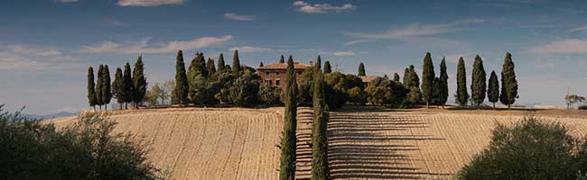 Web漏洞扫描工具